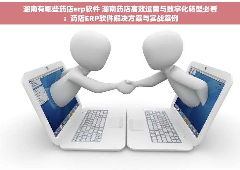湖南有哪些药店erp软件 湖南药店高效运营与数字化转型必看：药店ERP软件解决方案与实战案例