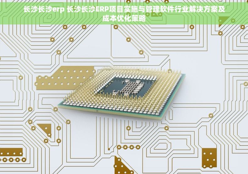长沙长沙erp 长沙长沙ERP项目实施与管理软件行业解决方案及成本优化策略