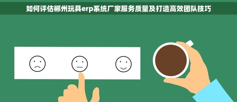 如何评估郴州玩具erp系统厂家服务质量及打造高效团队技巧
