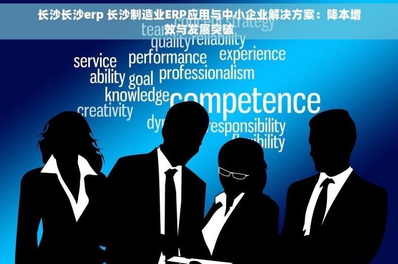 长沙长沙erp 长沙制造业ERP应用与中小企业解决方案：降本增效与发展突破
