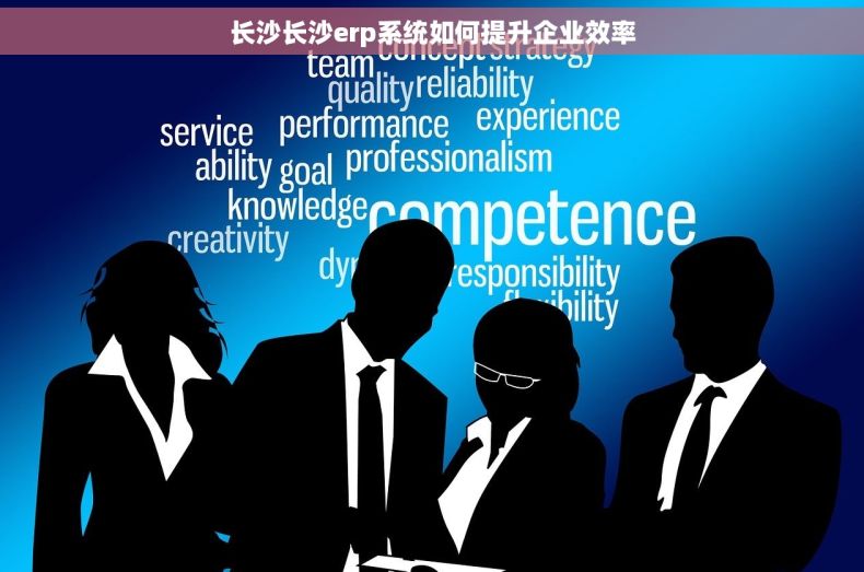 长沙长沙erp系统如何提升企业效率