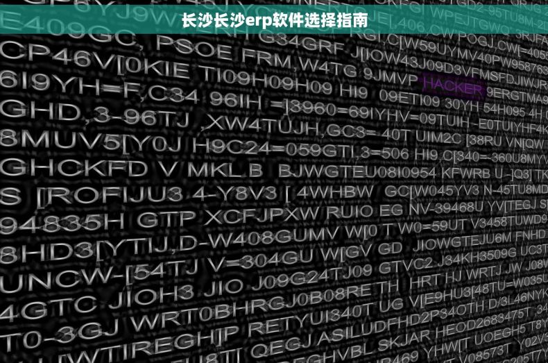 长沙长沙erp软件选择指南