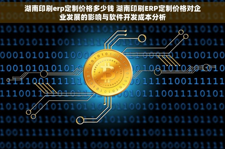 湖南印刷erp定制价格多少钱 湖南印刷ERP定制价格对企业发展的影响与软件开发成本分析