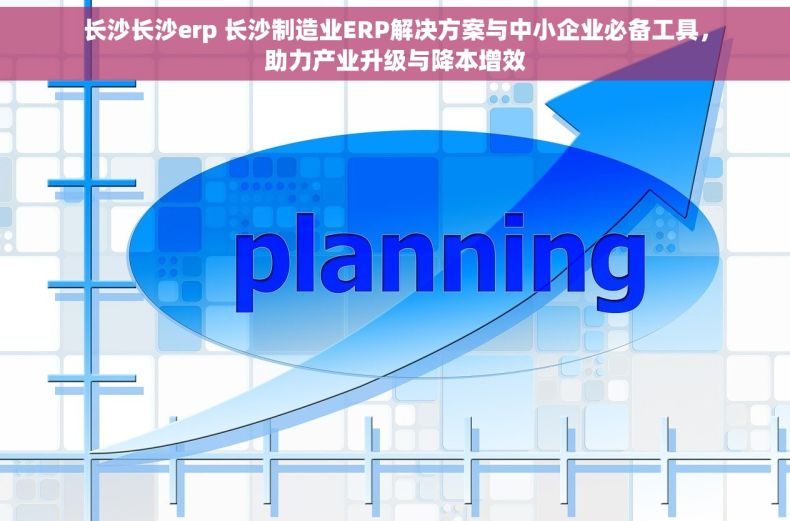 长沙长沙erp 长沙制造业ERP解决方案与中小企业必备工具，助力产业升级与降本增效