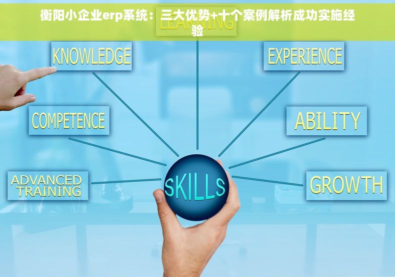 衡阳小企业erp系统：三大优势+十个案例解析成功实施经验