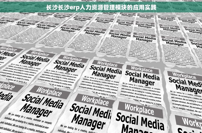 长沙长沙erp人力资源管理模块的应用实践
