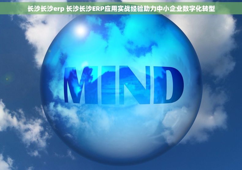 长沙长沙erp 长沙长沙ERP应用实战经验助力中小企业数字化转型