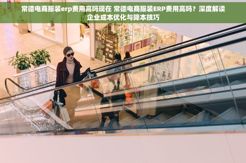 常德电商服装erp费用高吗现在 常德电商服装ERP费用高吗？深度解读企业成本优化与降本技巧