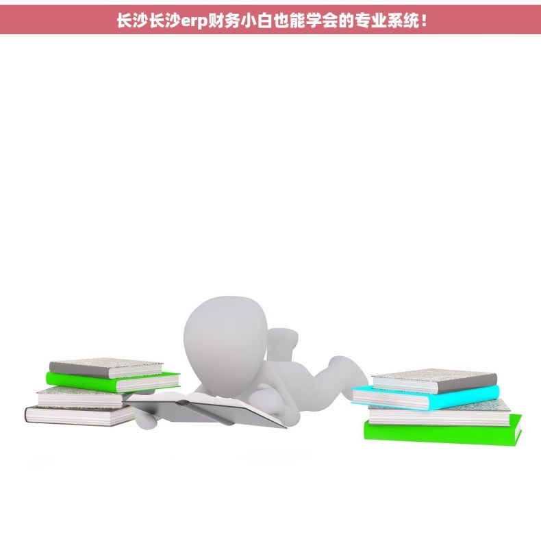 长沙长沙erp财务小白也能学会的专业系统！