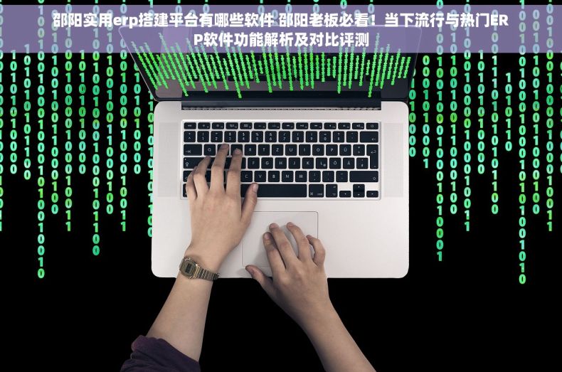 邵阳实用erp搭建平台有哪些软件 邵阳老板必看！当下流行与热门ERP软件功能解析及对比评测