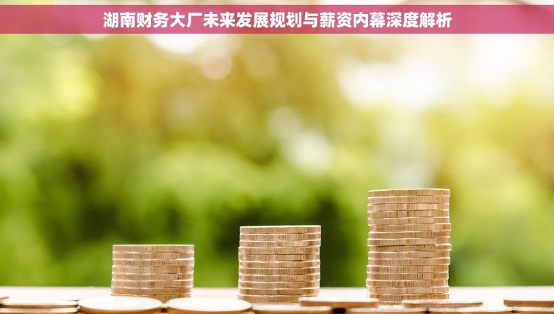 湖南财务大厂未来发展规划与薪资内幕深度解析