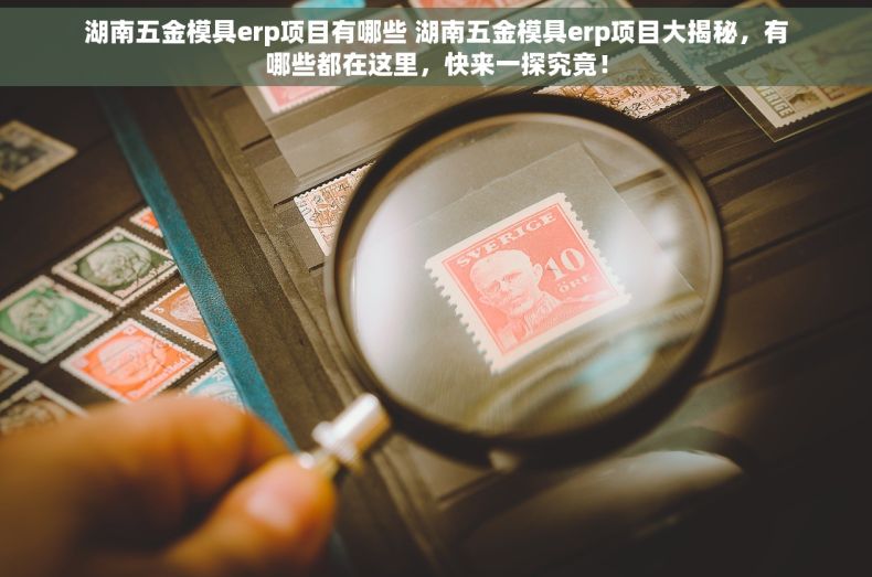 湖南五金模具erp项目有哪些 湖南五金模具erp项目大揭秘，有哪些都在这里，快来一探究竟！