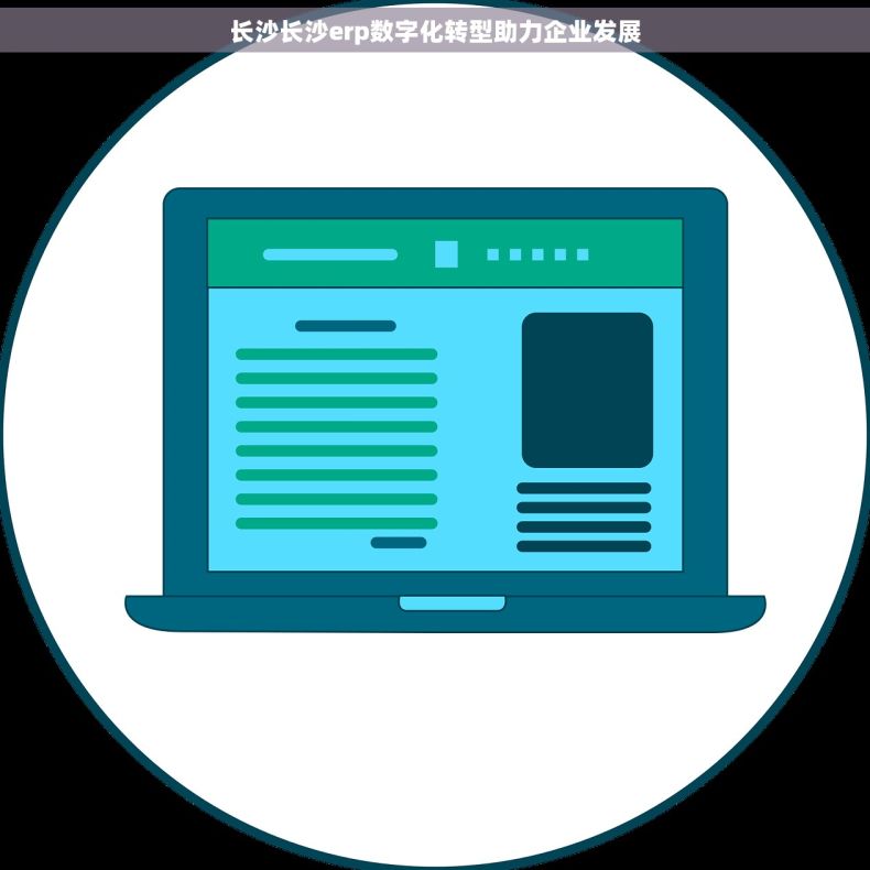 长沙长沙erp数字化转型助力企业发展