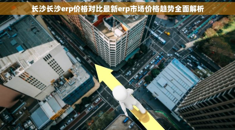 长沙长沙erp价格对比最新erp市场价格趋势全面解析