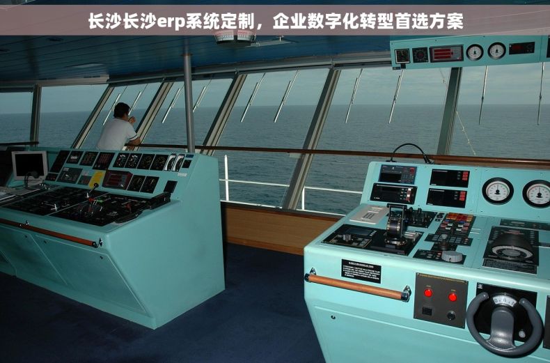 长沙长沙erp系统定制，企业数字化转型首选方案
