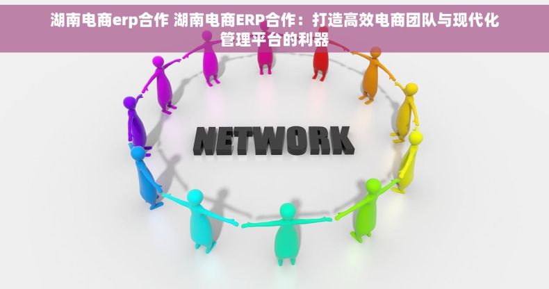 湖南电商erp合作 湖南电商ERP合作：打造高效电商团队与现代化管理平台的利器