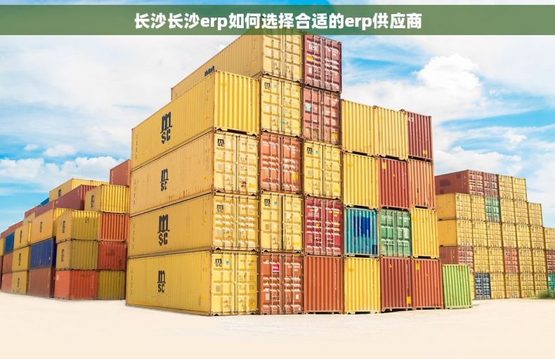 长沙长沙erp如何选择合适的erp供应商