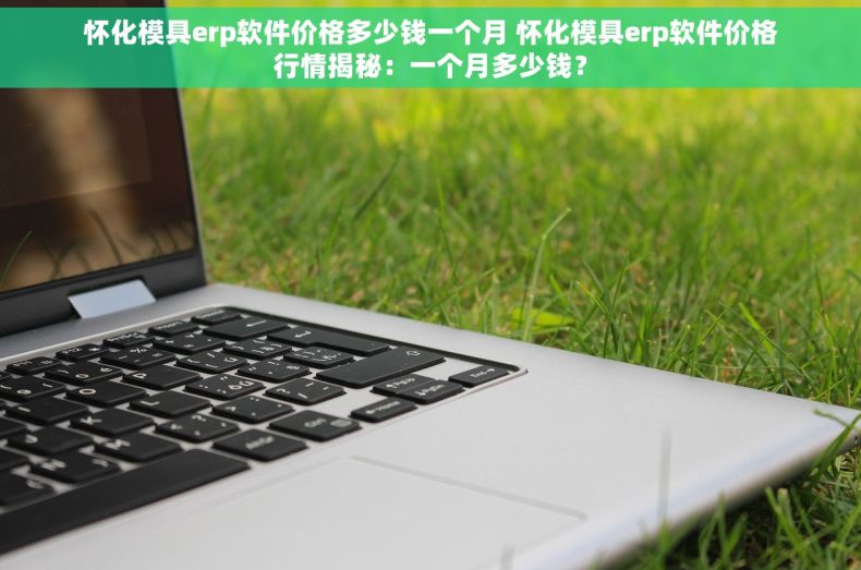 怀化模具erp软件价格多少钱一个月 怀化模具erp软件价格行情揭秘：一个月多少钱？