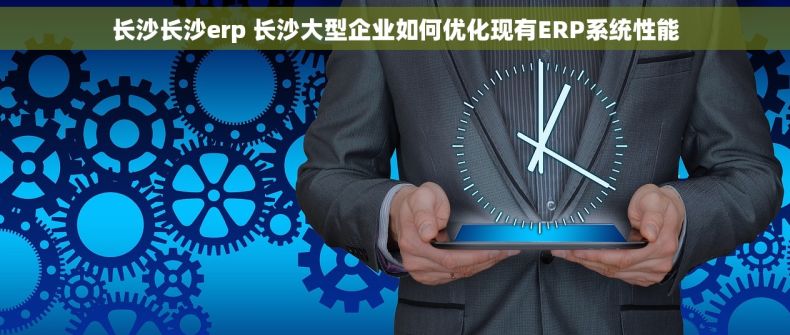 长沙长沙erp 长沙大型企业如何优化现有ERP系统性能