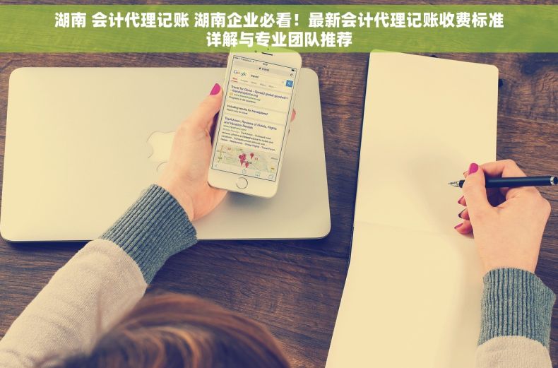 湖南 会计代理记账 湖南企业必看！最新会计代理记账收费标准详解与专业团队推荐