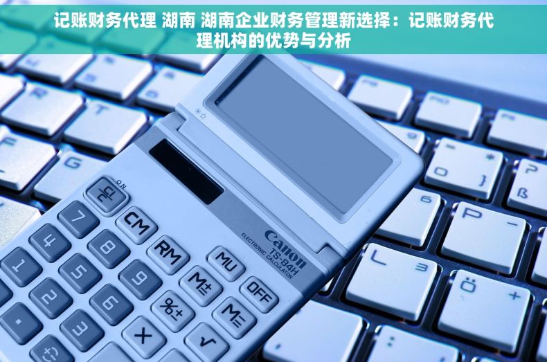 记账财务代理 湖南 湖南企业财务管理新选择：记账财务代理机构的优势与分析