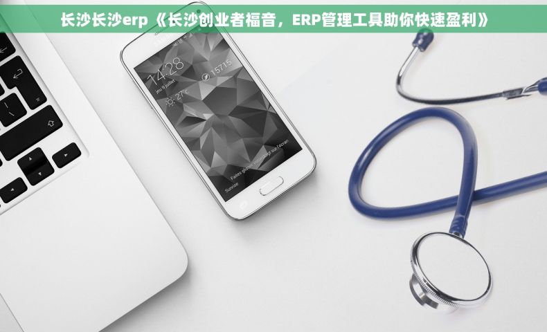 长沙长沙erp 《长沙创业者福音，ERP管理工具助你快速盈利》