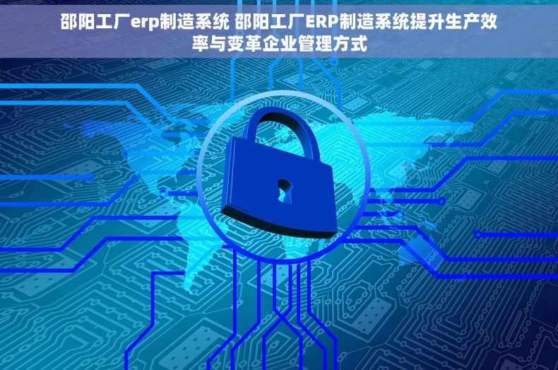 邵阳工厂erp制造系统 邵阳工厂ERP制造系统提升生产效率与变革企业管理方式