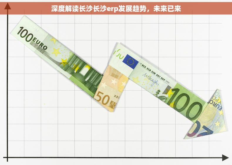 深度解读长沙长沙erp发展趋势，未来已来