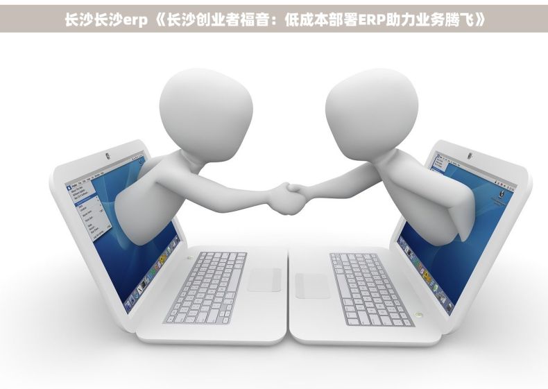 长沙长沙erp 《长沙创业者福音：低成本部署ERP助力业务腾飞》