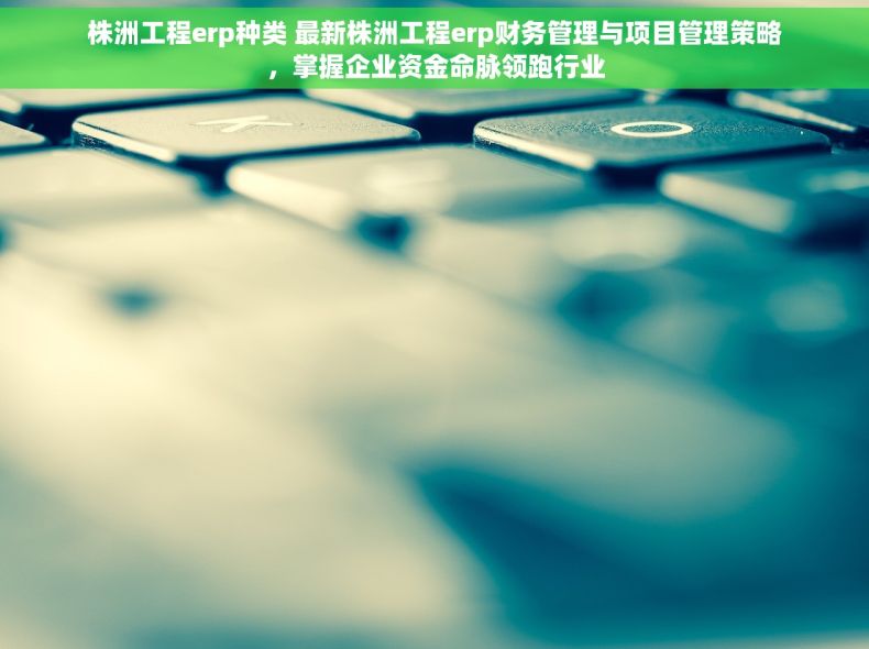 株洲工程erp种类 最新株洲工程erp财务管理与项目管理策略，掌握企业资金命脉领跑行业