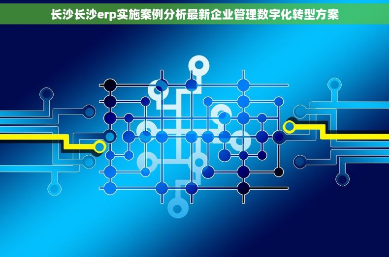 长沙长沙erp实施案例分析最新企业管理数字化转型方案