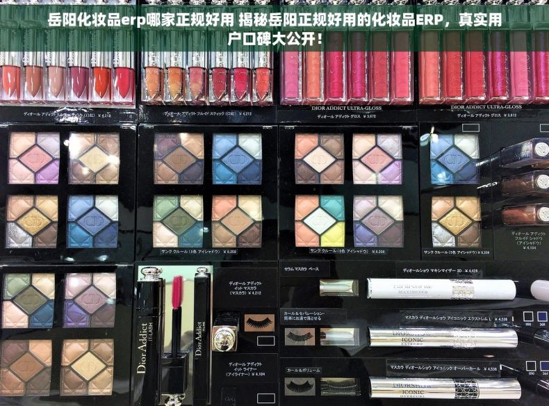 岳阳化妆品erp哪家正规好用 揭秘岳阳正规好用的化妆品ERP，真实用户口碑大公开！