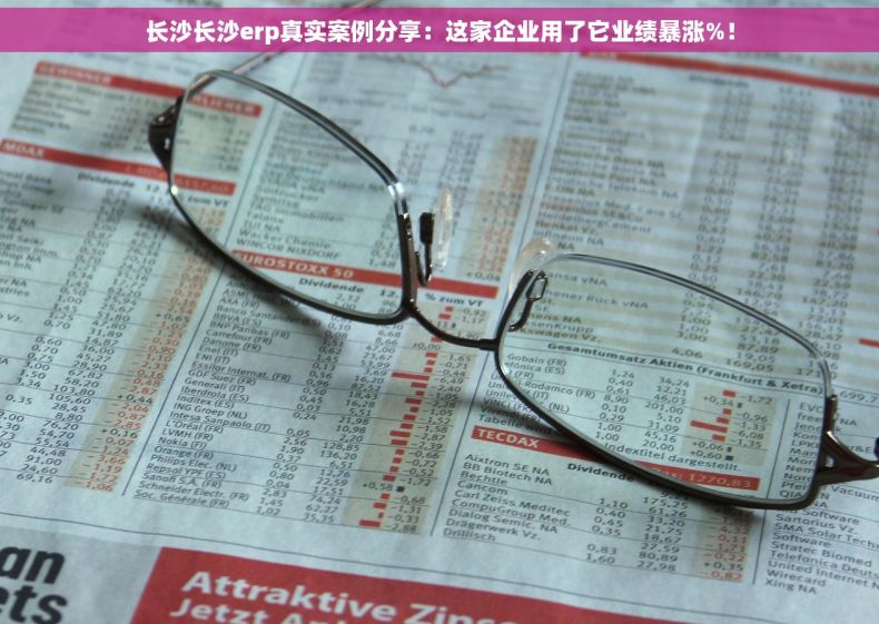 长沙长沙erp真实案例分享：这家企业用了它业绩暴涨%！