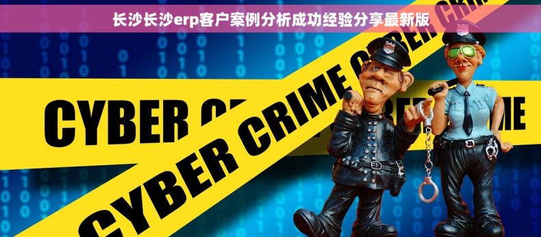 长沙长沙erp客户案例分析成功经验分享最新版