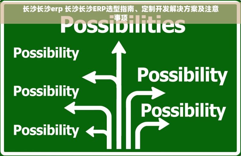 长沙长沙erp 长沙长沙ERP选型指南、定制开发解决方案及注意事项