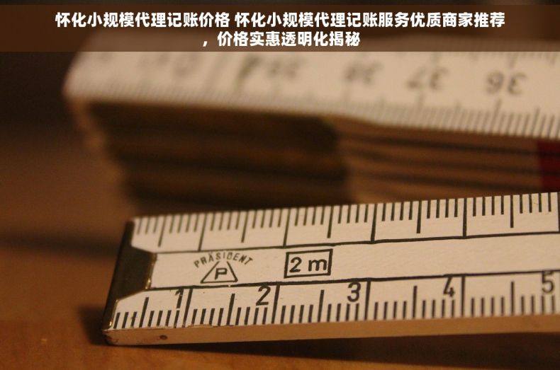怀化小规模代理记账价格 怀化小规模代理记账服务优质商家推荐，价格实惠透明化揭秘
