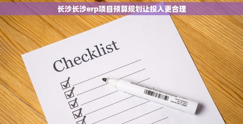 长沙长沙erp项目预算规划让投入更合理