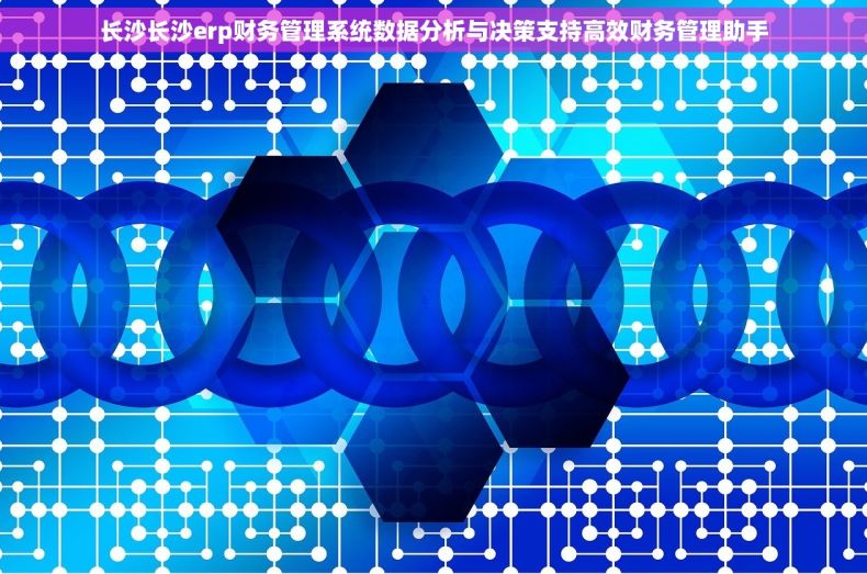 长沙长沙erp财务管理系统数据分析与决策支持高效财务管理助手