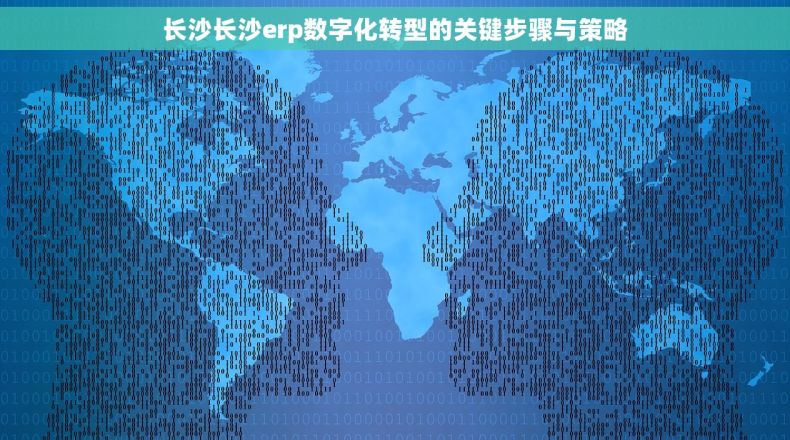 长沙长沙erp数字化转型的关键步骤与策略