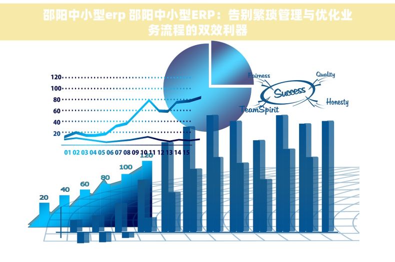 邵阳中小型erp 邵阳中小型ERP：告别繁琐管理与优化业务流程的双效利器