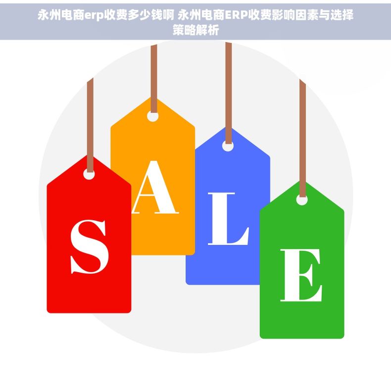 永州电商erp收费多少钱啊 永州电商ERP收费影响因素与选择策略解析
