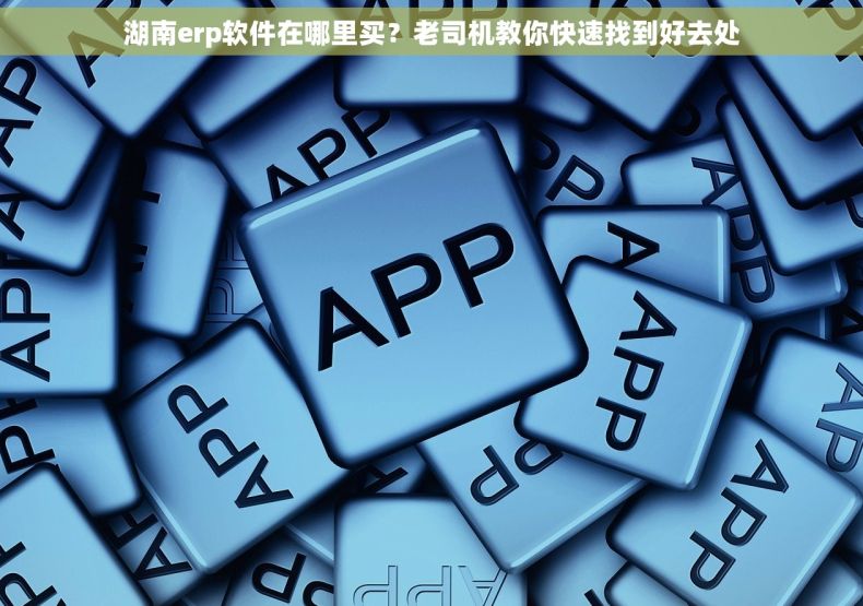 湖南erp软件在哪里买？老司机教你快速找到好去处