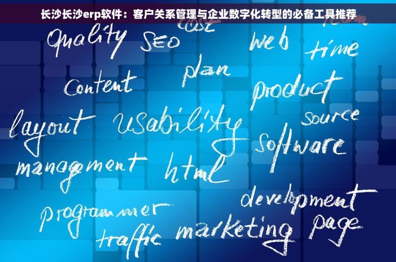 长沙长沙erp软件：客户关系管理与企业数字化转型的必备工具推荐