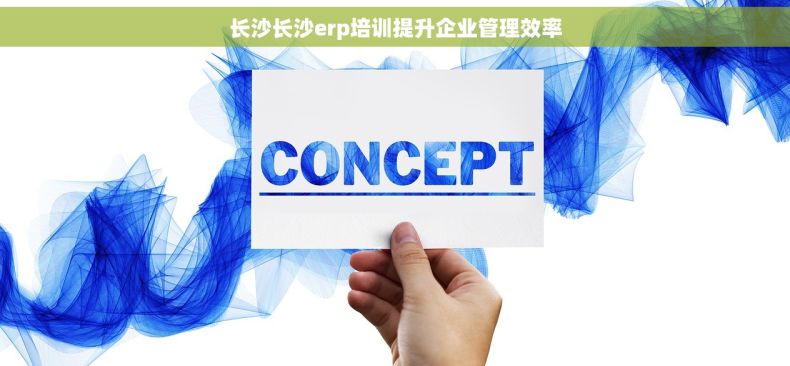 长沙长沙erp培训提升企业管理效率