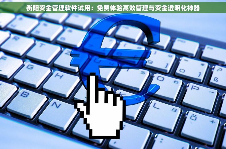 衡阳资金管理软件试用：免费体验高效管理与资金透明化神器