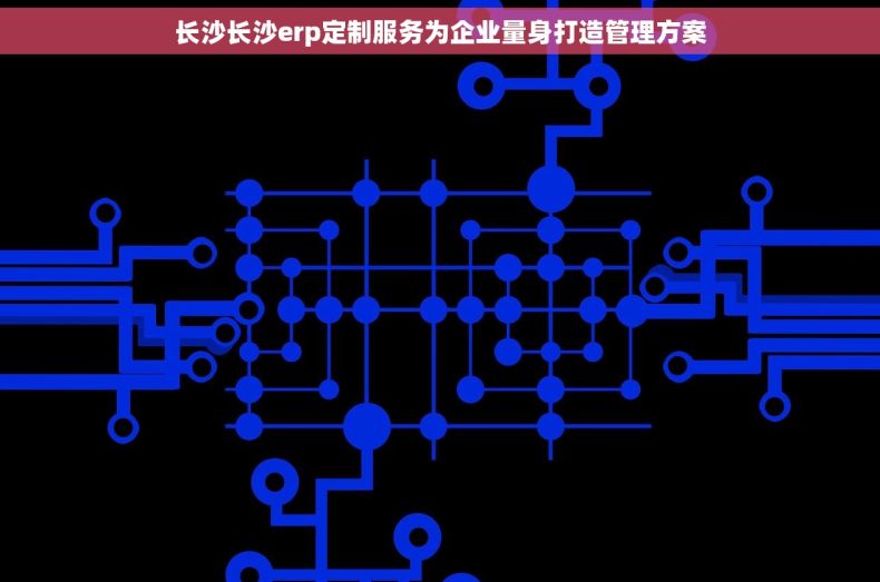 长沙长沙erp定制服务为企业量身打造管理方案