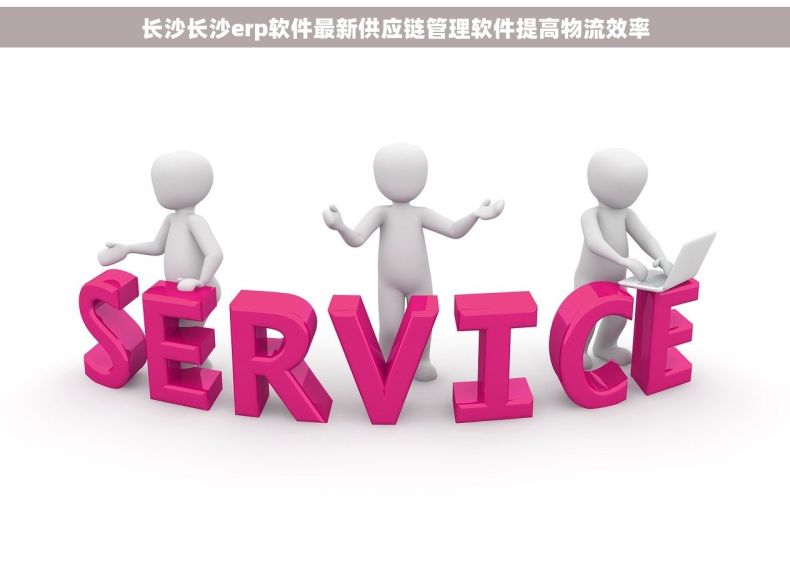长沙长沙erp软件最新供应链管理软件提高物流效率