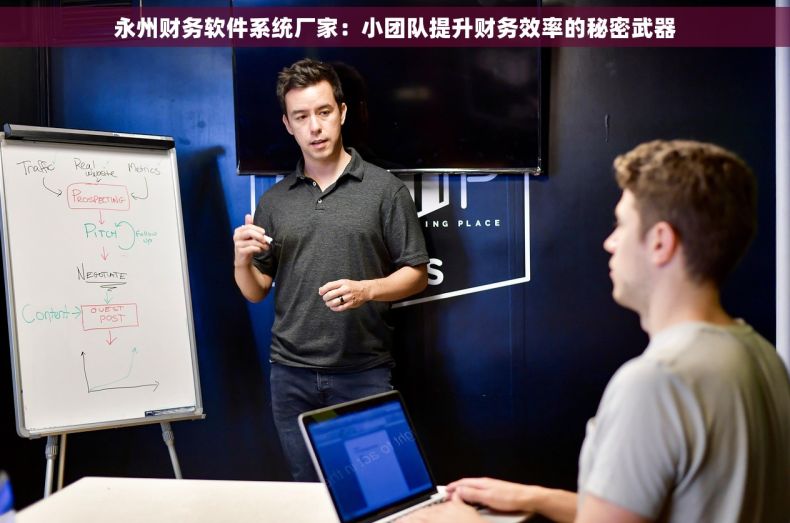 永州财务软件系统厂家：小团队提升财务效率的秘密武器