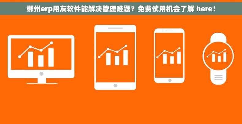 郴州erp用友软件能解决管理难题？免费试用机会了解 here！