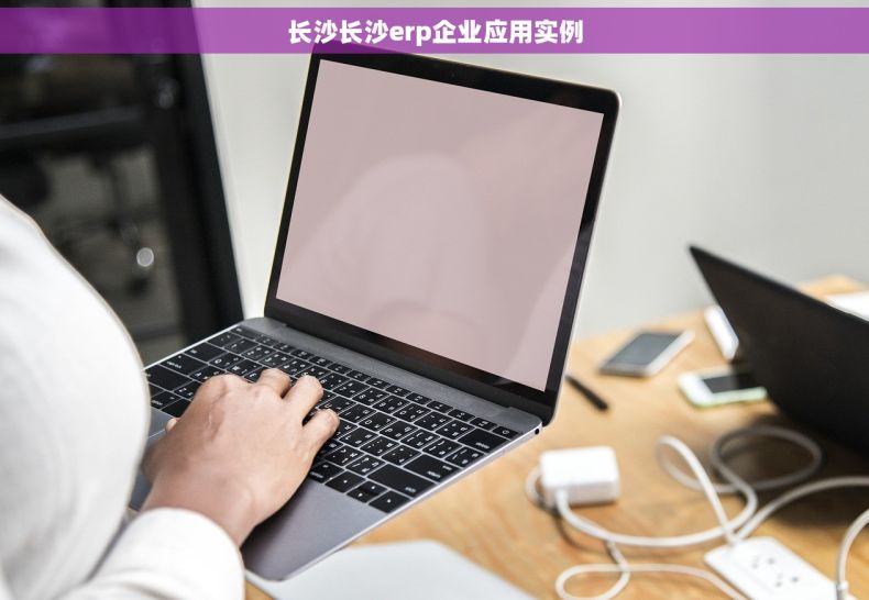 长沙长沙erp企业应用实例